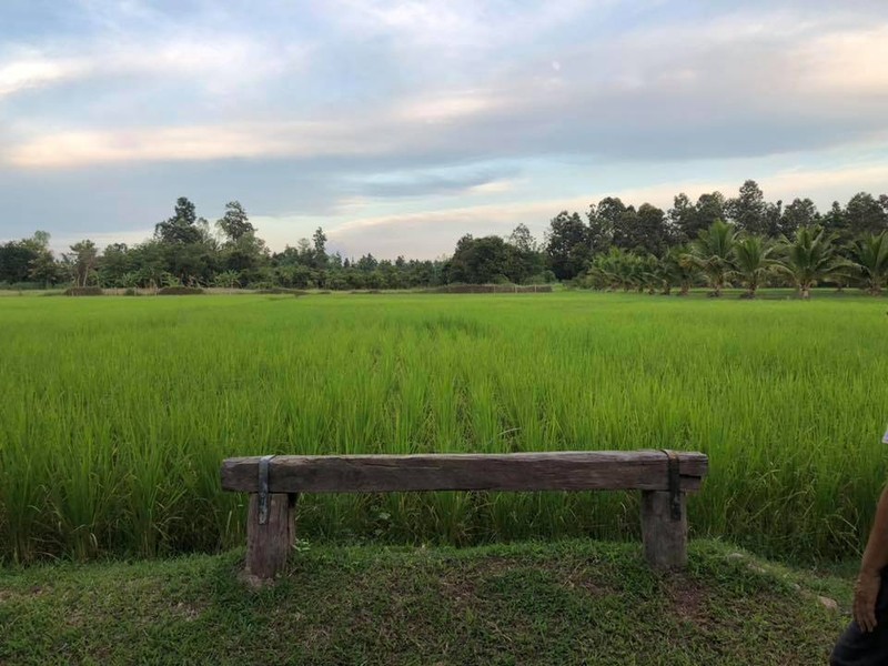 บ้านนอกคาเฟ่ 