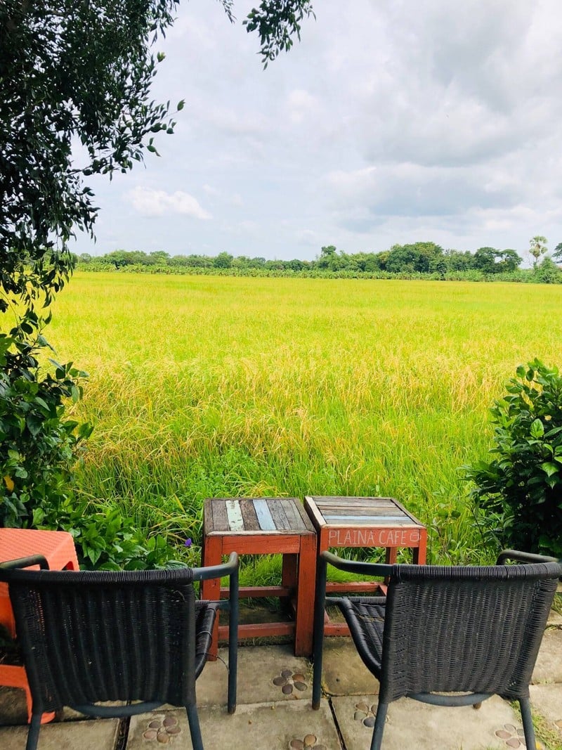 รวงข้าว🌾