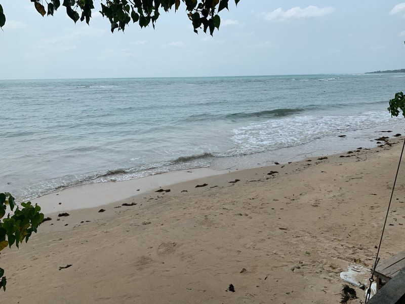 ถ่ายจากร้านอาหารชื่อดังในหาดละไม 