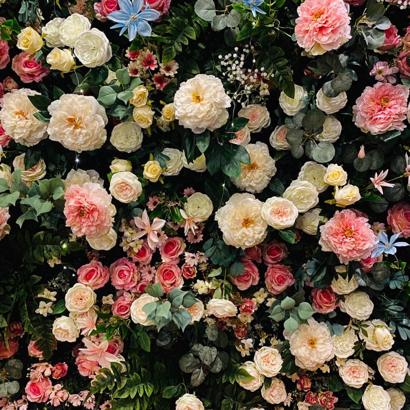 ดอกไม้ตกแต่งร้าน ชนะเลิศ