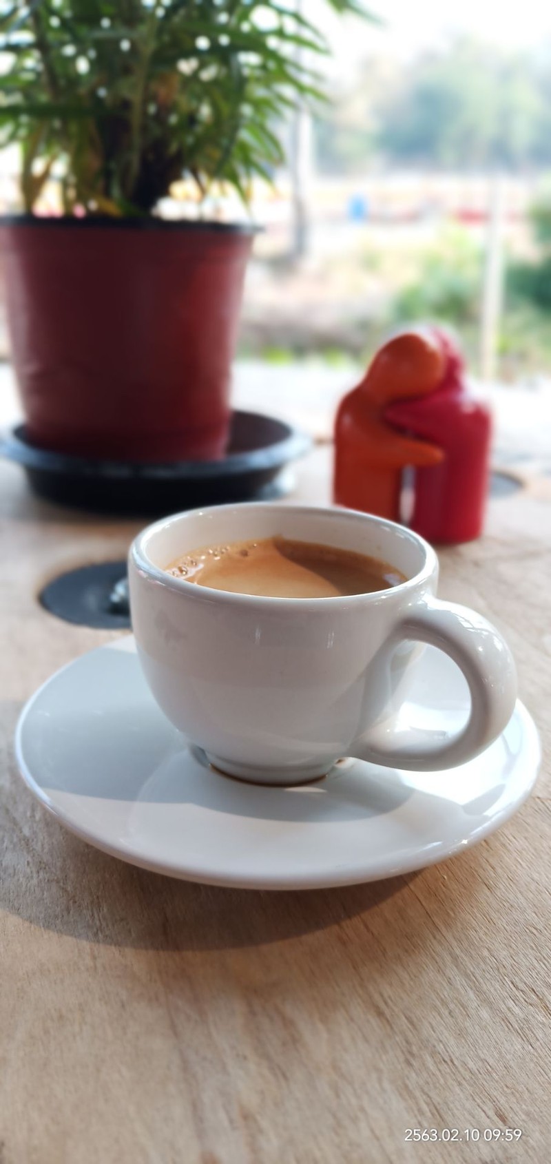 ดอกไม้สวยๆกับกาแฟหอมๆ