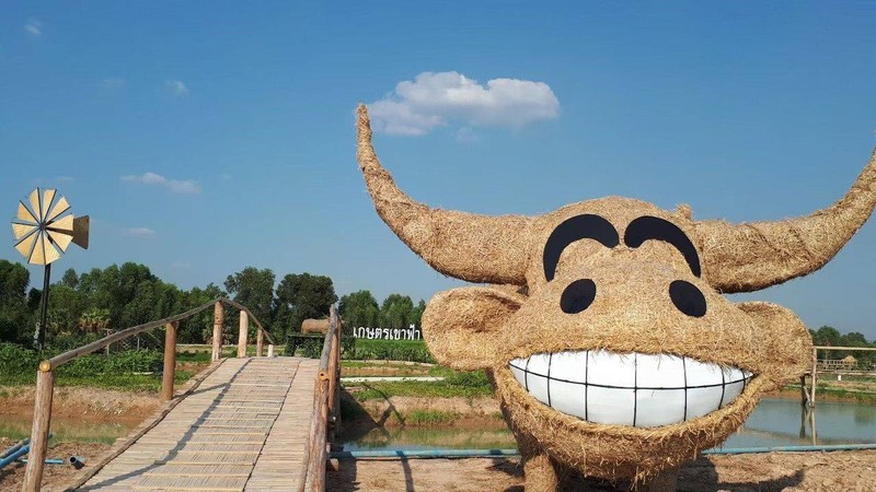 ควายยิ้มต้อนรับ