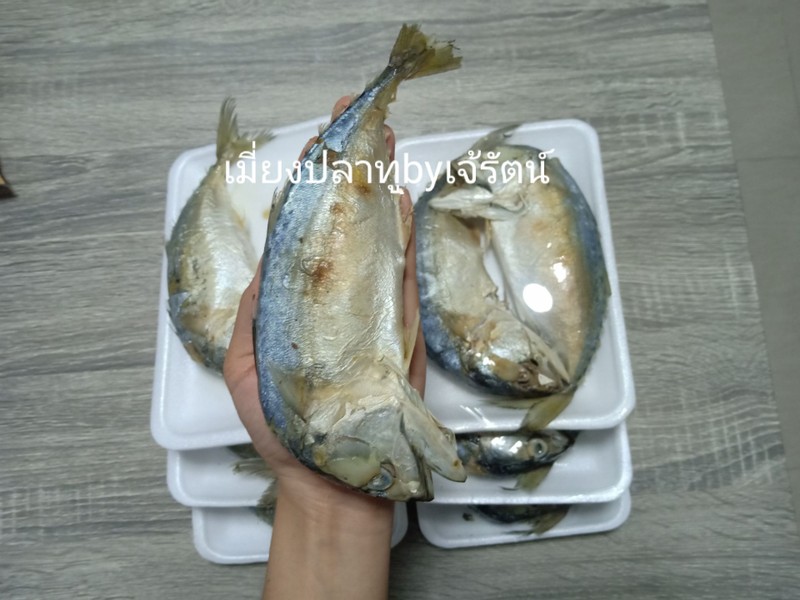 ปลาทูไซส์ใหญ่แน่นๆ