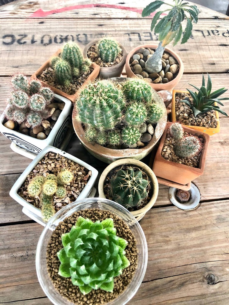 บนโต๊ะคะ