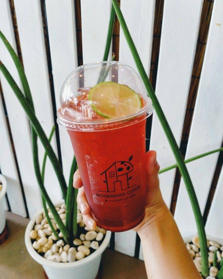 ชามะนาว 🌱🍋🍹

#LemonTea
#MOOBANHEDCOFFEE