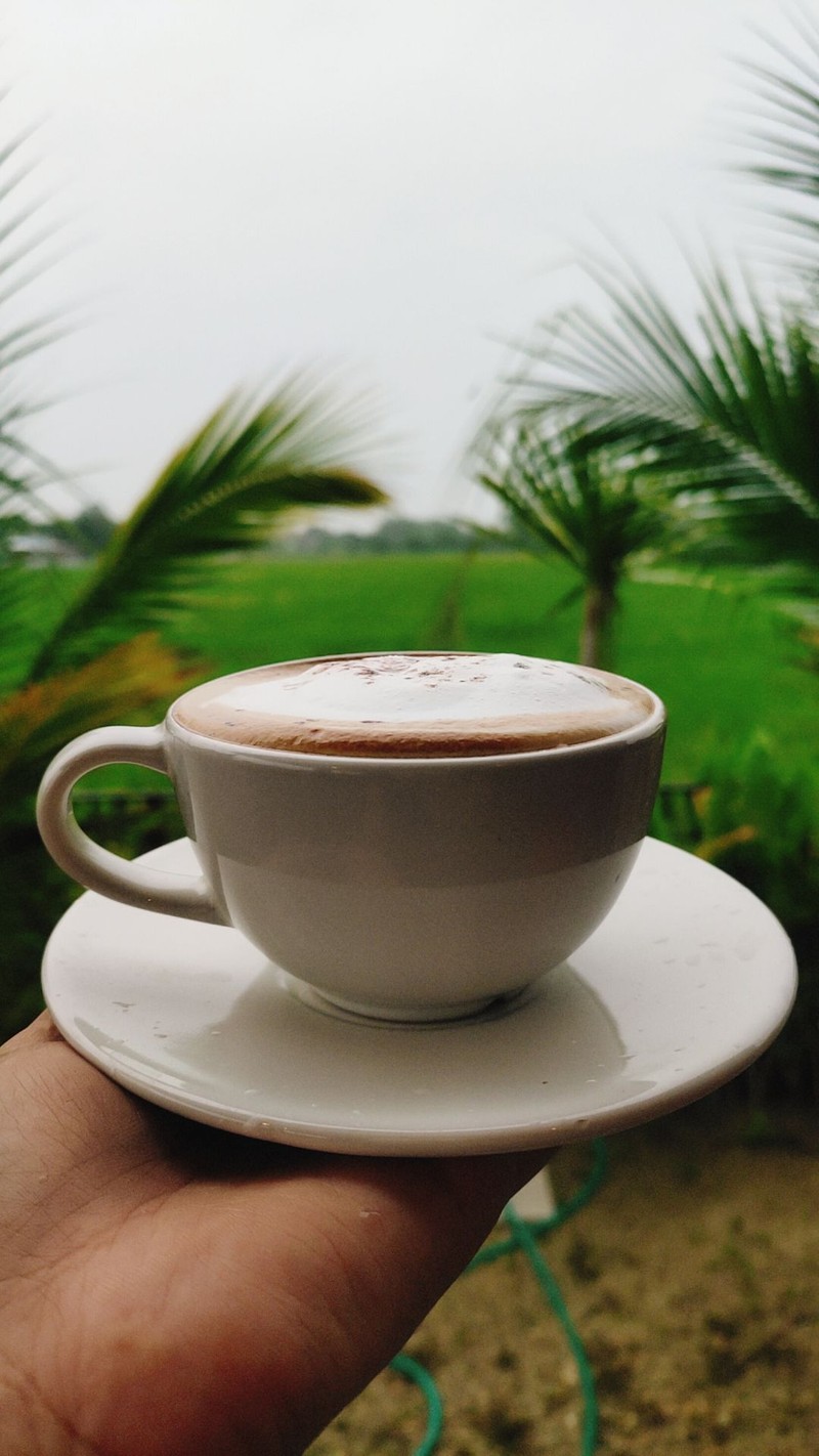 เมล็ดกาแฟคัดสรรเกรดดี ทุกกรรมวิธี ตั้งแต่การปลูก เก็บ คั่ว มาจากเกษตรบน"ดอยช้าง"