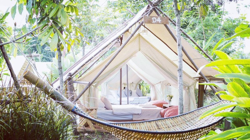 Credit ภาพ : FB CAMP Chiangmai