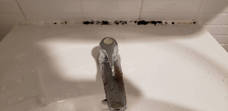 มีเชื้อราอยู่บนอ่างล้างหน้า