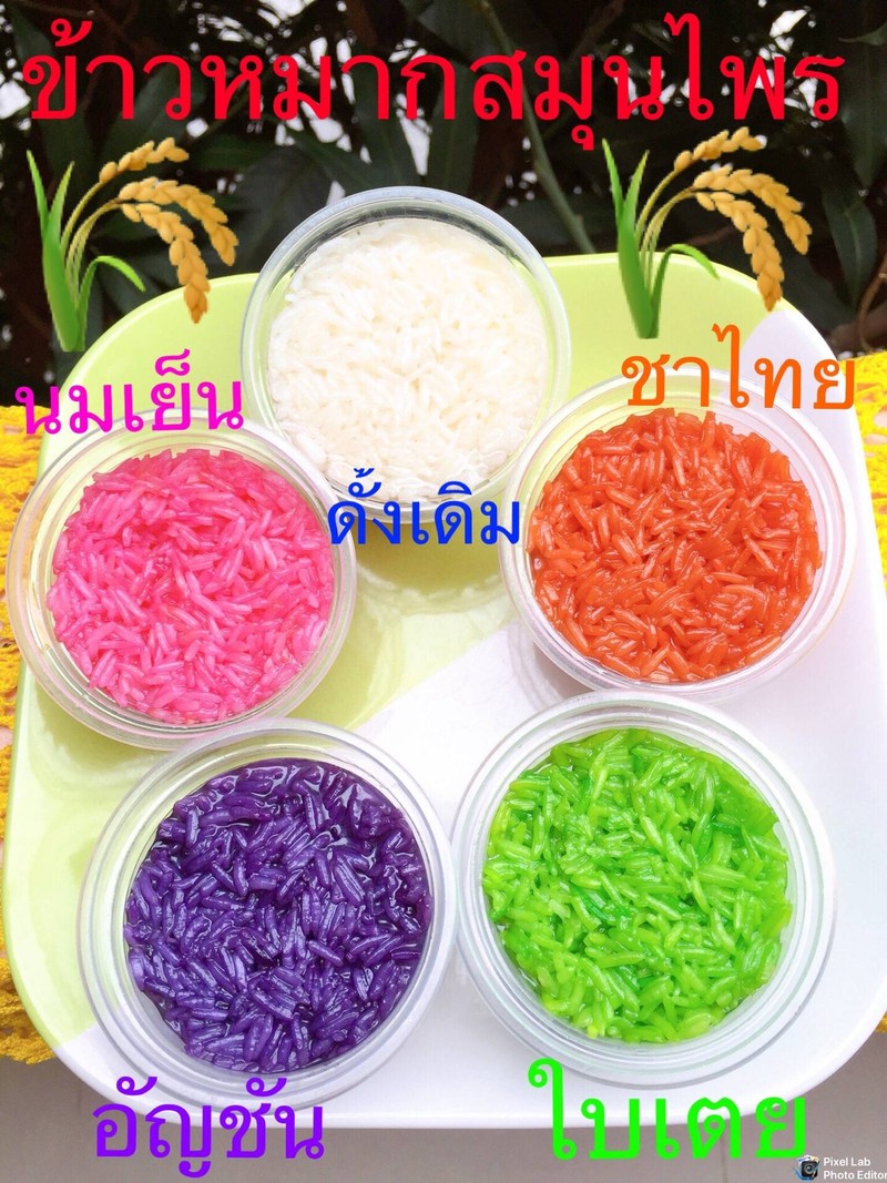 ข้าวหมากสมุนไพร ภูมิปัญญาProbioticไทย