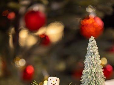 MENU_640262rS_1606630050