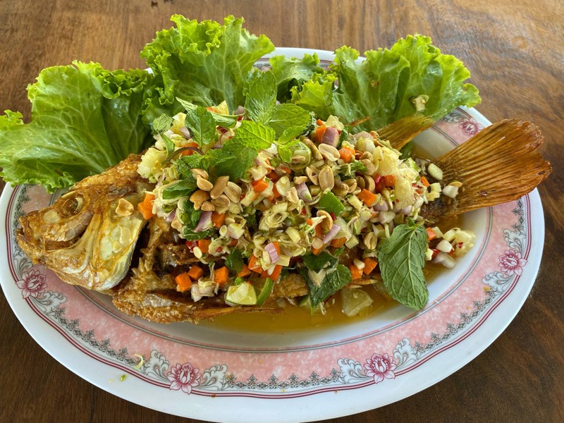 ปลาทับทิบลุยสวน