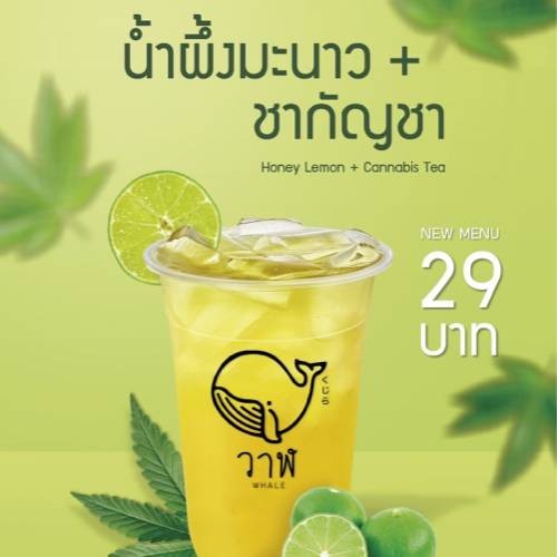 MENU_764527Si_1628399673