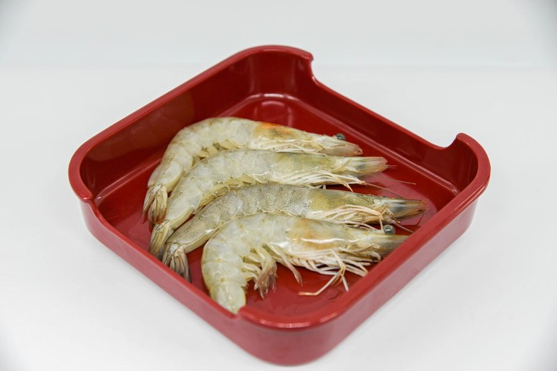 กุ้งขาว