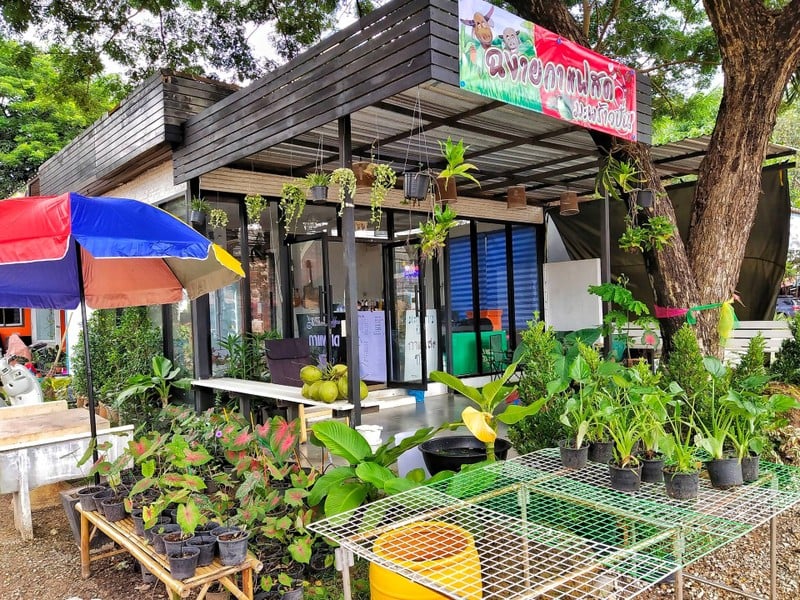 คาเฟ่ บ้านๆ เป็นทั้งร้านกาแฟ ไม้สวยงาม