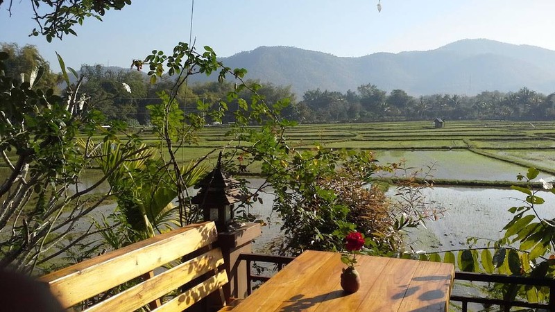 จามจุรี ดอยสะเก็ด Jamjuree Doisaket