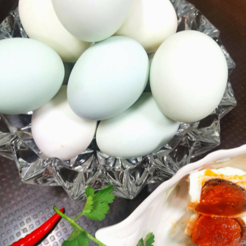 MENU_441734KN_1645989856