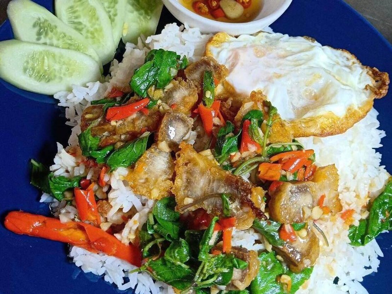 กะเพราหมูกรอบ