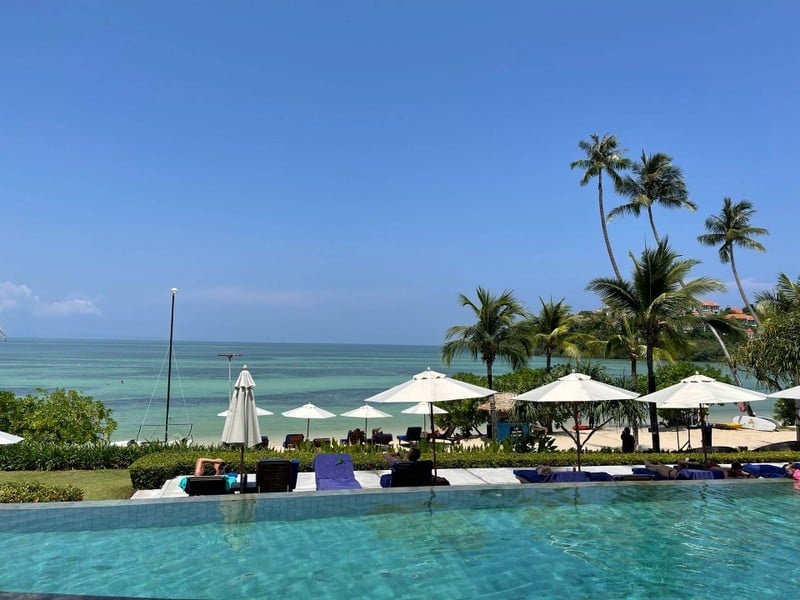 stunning view from the table 