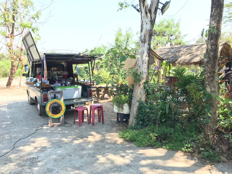 แตววินเทจ