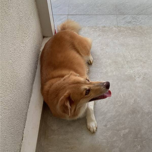 MENU_1563605LW_1653619817