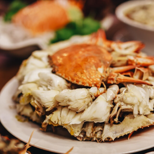 MENU_440624vH_1675590973