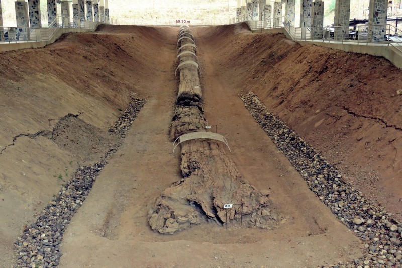 Unseen ไม้กลายเป้นหิน ที่ ยาวที่สุดในโลก อยู่ที่ ตาก ประเทศไทย 
