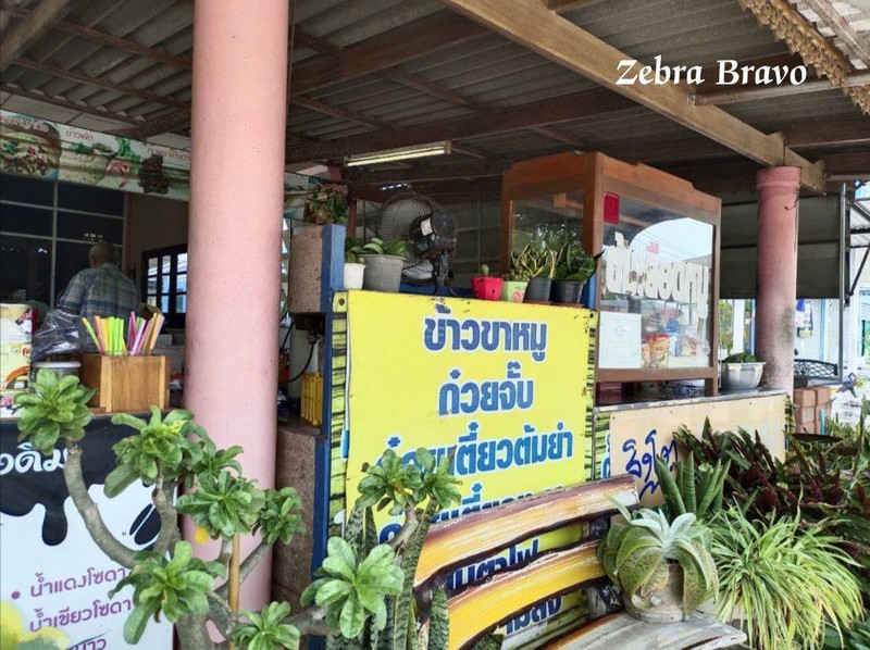 เห็นคำว่าสิงโตโผล่มาแว้บๆ ตรงป้ายหน้าร้าน แต่ต้นไม้บัง