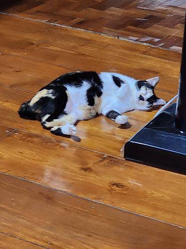 MENU_795826Yv_1689322233