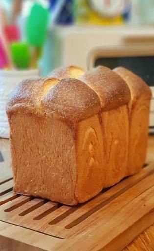 MENU_2363833wo_1689652530