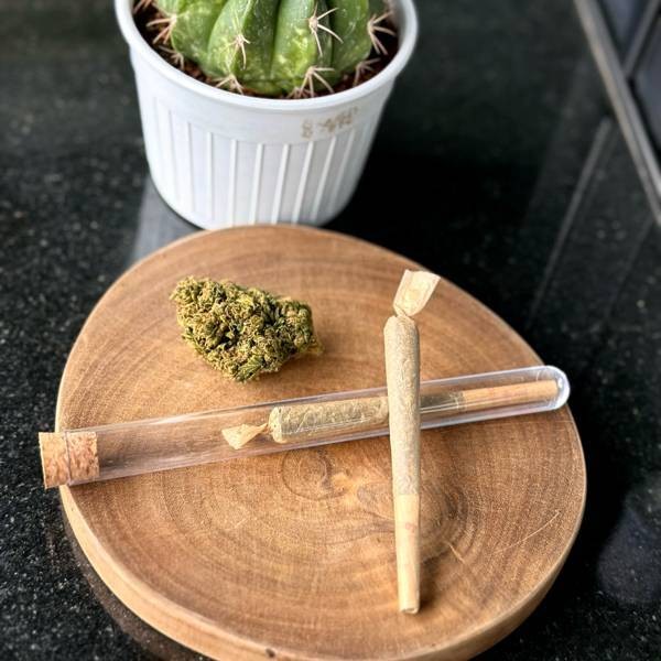 MENU_2009356SJ_1682862328