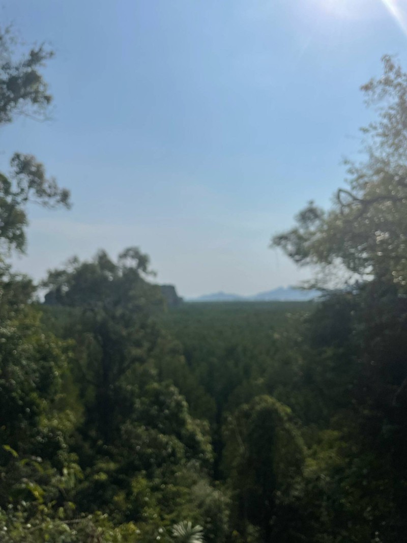 บนเขา