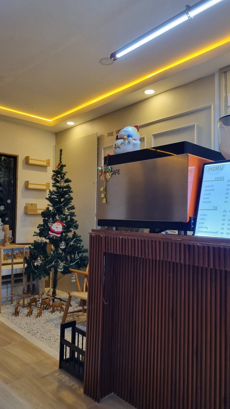 PROFILE_2580084zo_1705409749