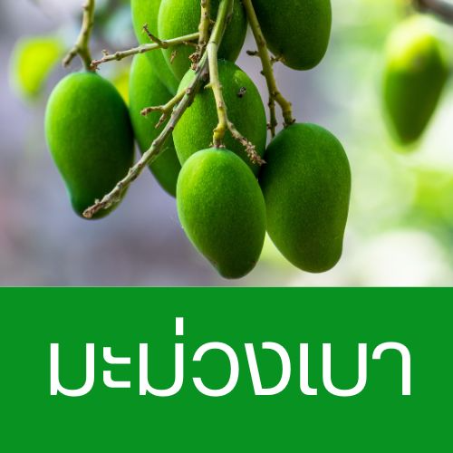 MENU_2651467ux_1708414566