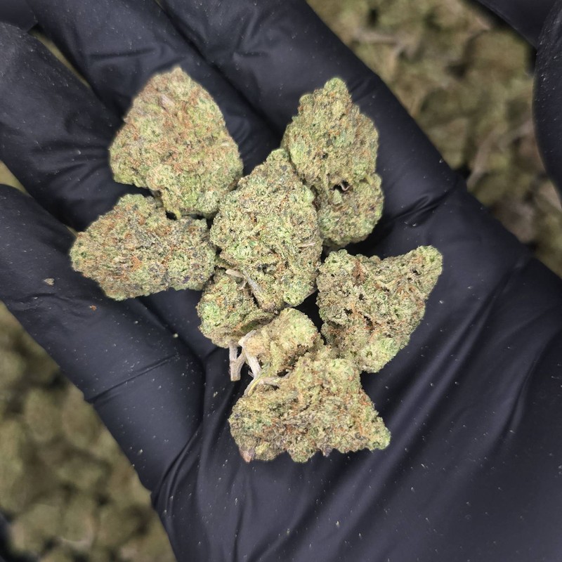 MENU_2897080fk_1726264244