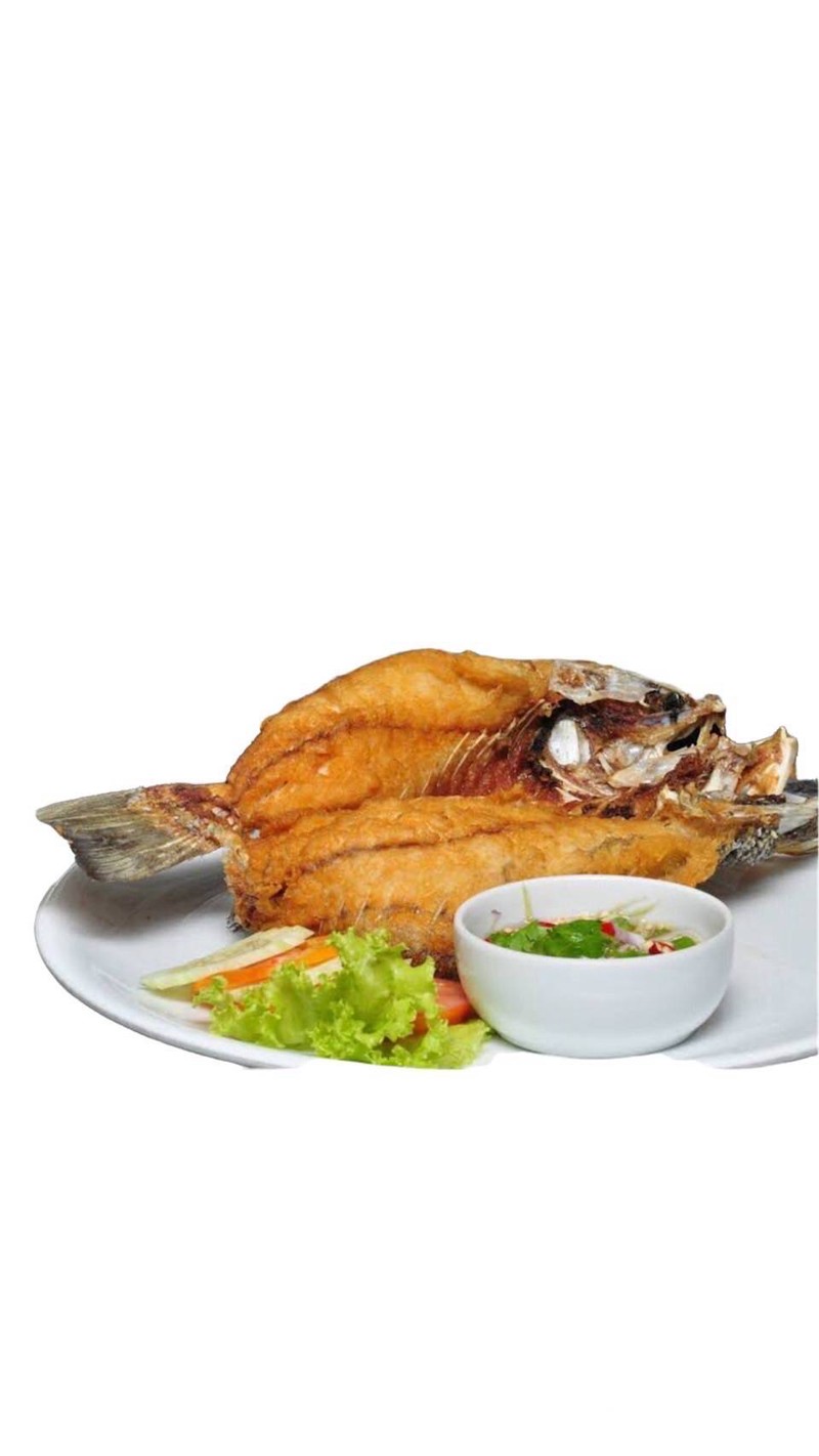 MENU_3013382Kf_1731901228