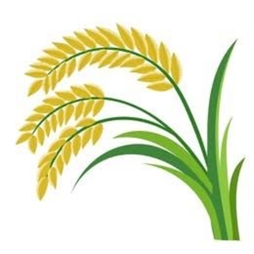 MENU_3154870to_1742499188