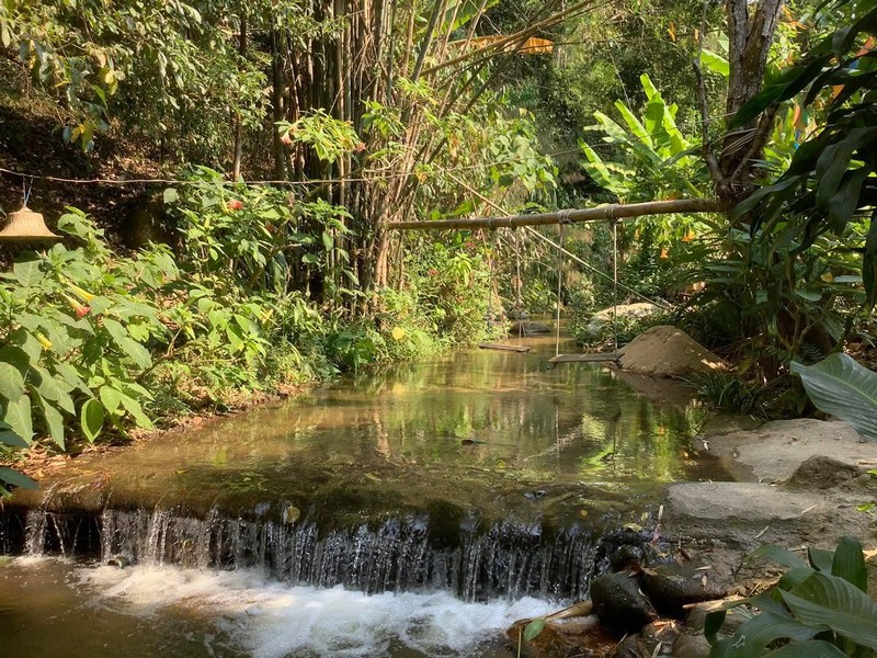 ขอบคุณรูปภาพจาก facebook บ้านริมธารโฮมสเตย์ บ้านป่าเหมี้ยง / สำหรับลงข้อมูลวงใน