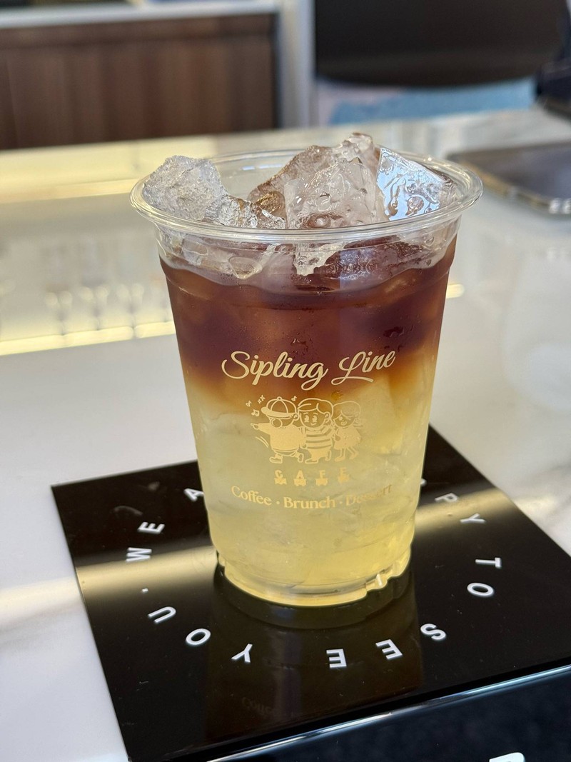 plum dip cold brew 