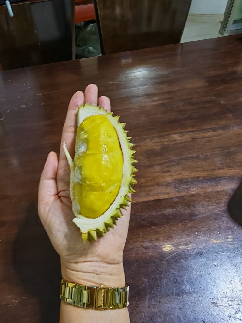 MENU_3697509vn_1774697226