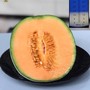 อิจิคุงเมล่อนฟาร์ม (ICHIKUN Melon Farm)