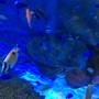 わくわく海中水族館シードーナツ