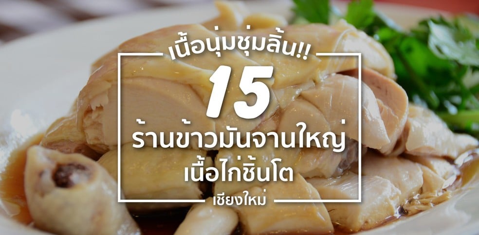 15 ร้านข้าวมันไก่เชียงใหม่ ข้าวมันจานใหญ่ เนื้อไก่ชิ้นโต