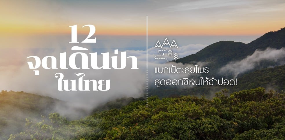 12 จุดเดินป่าในไทย แบกเป้ตะลุยไพร สูดออกซิเจนให้ฉ่ำปอด!