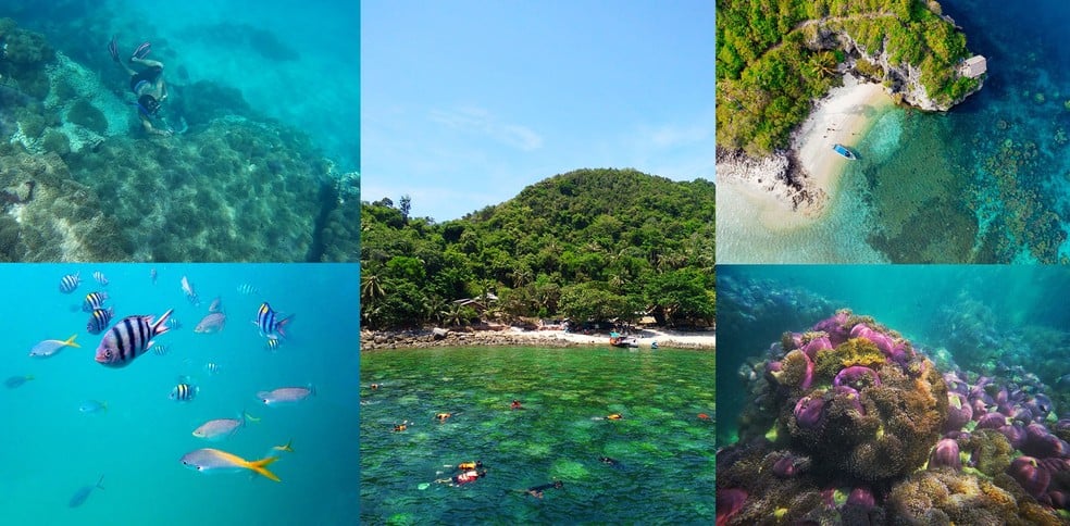 12 จุดดำน้ำใกล้กรุงเทพฯ เที่ยวได้ไม่ต้องลางาน