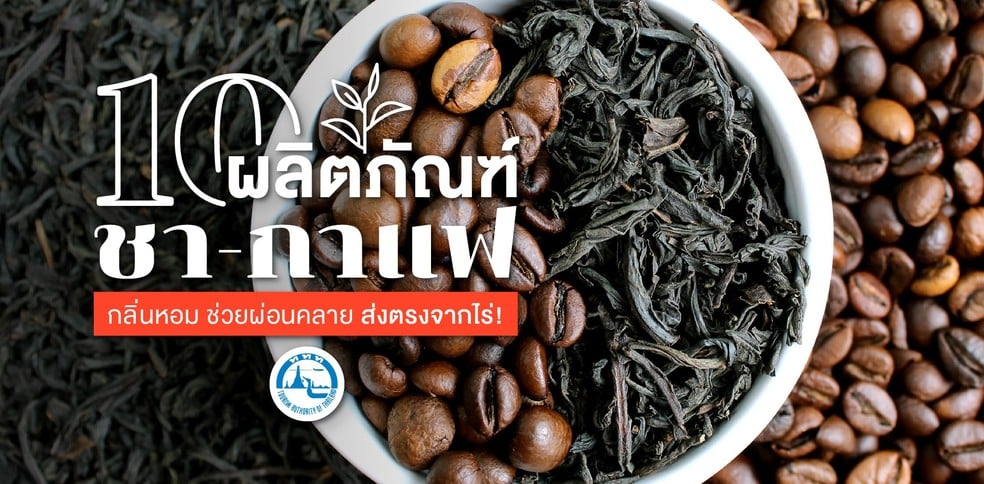 10 ผลิตภัณฑ์ชา-กาแฟส่งตรงจากไร่ กลิ่นหอม รสชาติกลมกล่อม ช่วยผ่อนคลาย