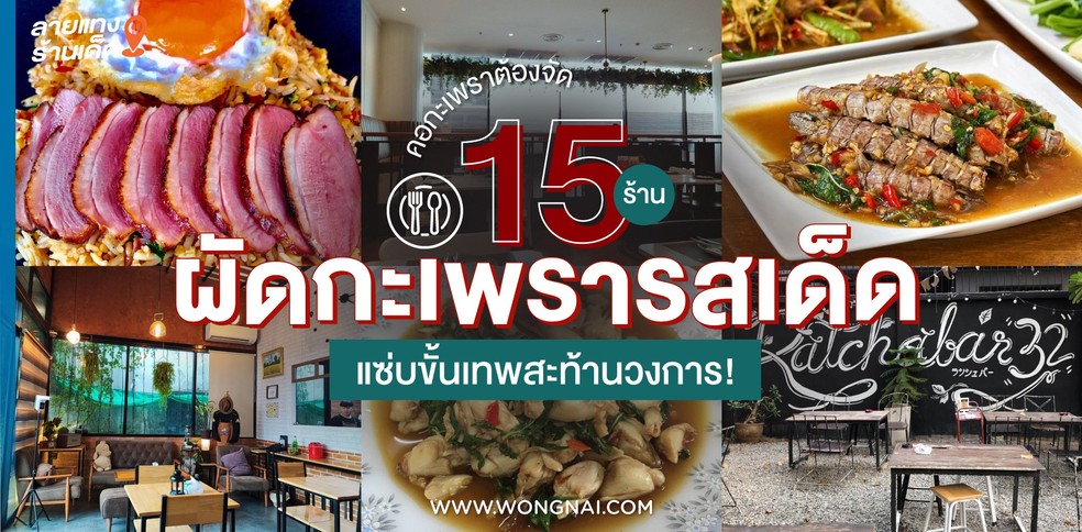 15 ร้านผัดกะเพรารสเด็ด แซ่บขั้นเทพสะท้านวงการ!