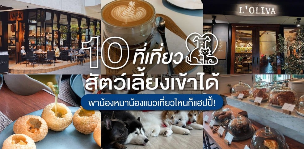10 ที่เที่ยวสัตว์เลี้ยงเข้าได้ พาน้องหมาน้องแมวเที่ยวไหนก็แฮปปี้!