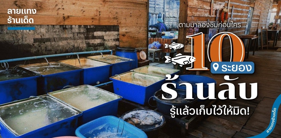 10 ร้านลับระยอง ตามมาลองชิมก่อนใคร รู้แล้วเก็บไว้ให้มิด!