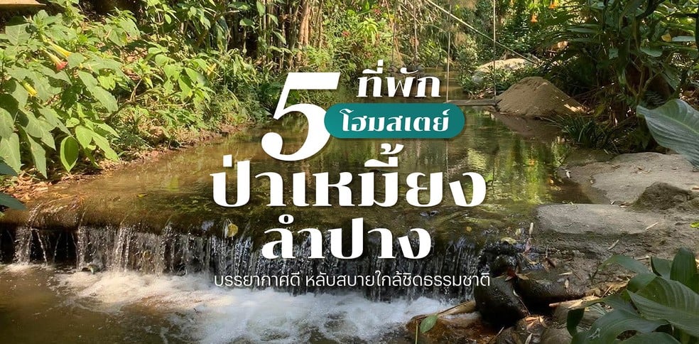 5 ที่พัก โฮมสเตย์ป่าเหมี้ยง ลำปาง บรรยากาศดี หลับสบายใกล้ชิดธรรมชาติ