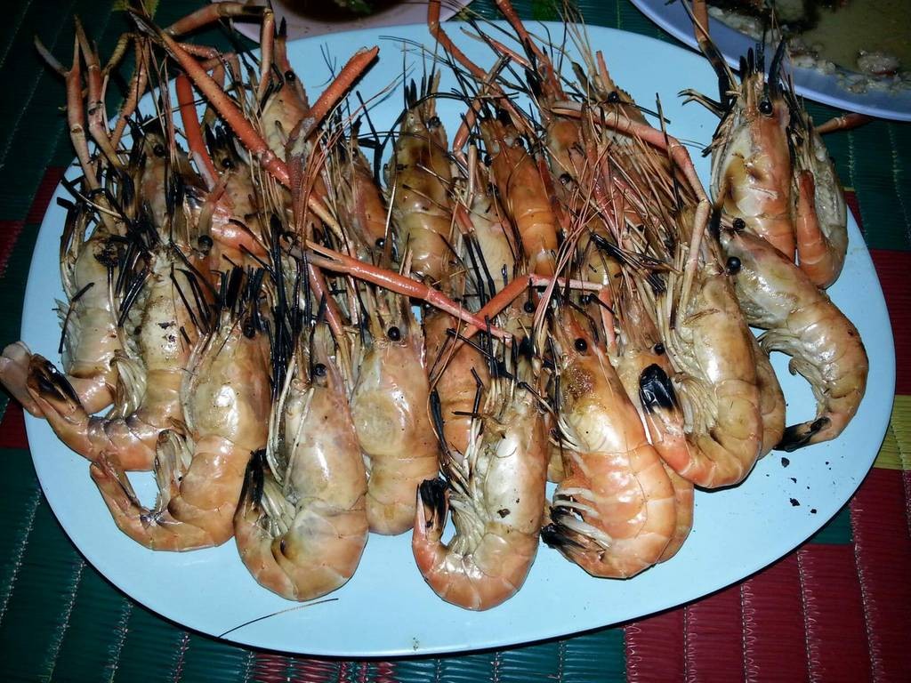 กาฬสินธุ์ กุ้งเผา กาฬสินธุ์ กุ้งเผา
